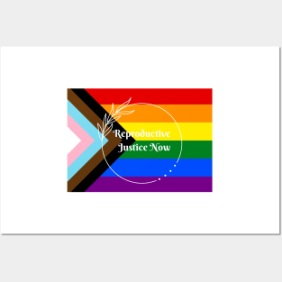 Reproductive Justice Now Pride Flag Posters and Art